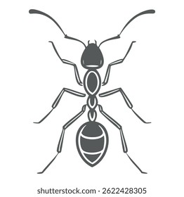 Stylized ant illustrations with symmetrical lines and minimal design