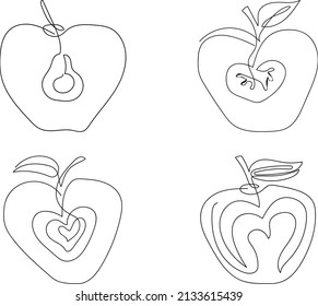 A stylized apple in a section, a set of four different types. One line hand drawn style