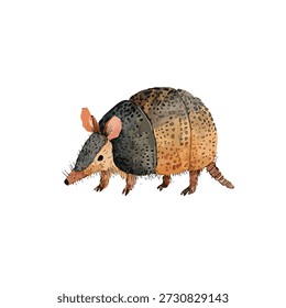 Stylized armadillo illustration featuring a unique texture and natural colors. Ideal for wildlife education, nature-themed designs, or children's animal projects.