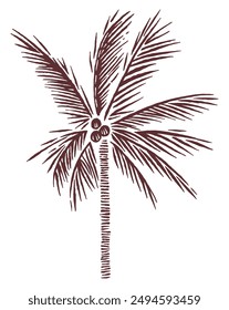 Arte estilizado de una silueta de árbol de coco. Dibujo en líneas libres, rústicas y depuradas.