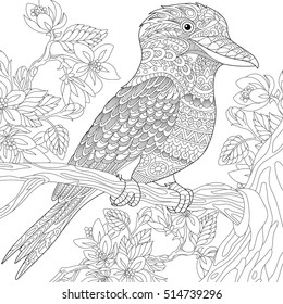 Stylized australian kookaburra bird and cherry blossoming tree. Freehand sketch for adult anti stress coloring book page with doodle and zentangle elements.