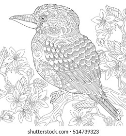 Stylized australian kookaburra bird and cherry blossoming tree. Freehand sketch for adult anti stress coloring book page with doodle and zentangle elements.