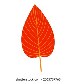 stylized autumn leaf, flat design, isolated on white