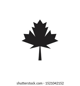 Stylized Autumn Maple Leaf Foliage logo icon