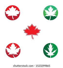 Stylized Autumn Maple Leaf Foliage logo icon