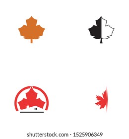 Stylized Autumn Maple Leaf Foliage logo icon