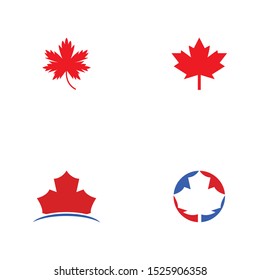 Stylized Autumn Maple Leaf Foliage logo icon