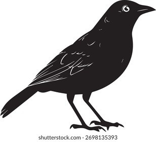 Stylized Babbler Bird Vector – Black Silhouette Design