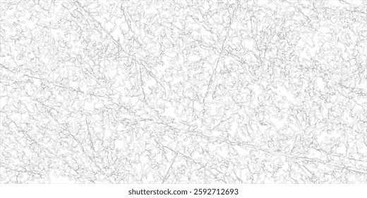 The stylized background of the topographic contour map concept. Abstract geography scheme in lines and contours. Black on white. Vector illustration.