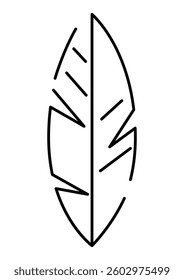 Stylized banana palm leaf. Decorative image of tropical foliage and plant.