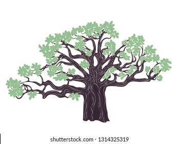 Stylized baobab tree, abstract tree silhouette design illustration.