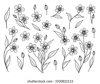 Stylized batanic illustration. Forget-me-nots. Drawn by the contour on a white background. Vector