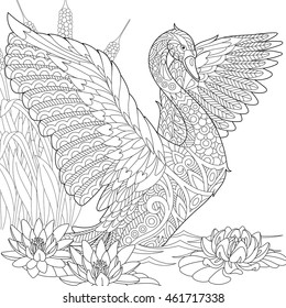 Stylized beautiful swan among water lilies (lotus flowers) and reed grass. Freehand sketch for adult anti stress coloring book page with doodle and zentangle elements.