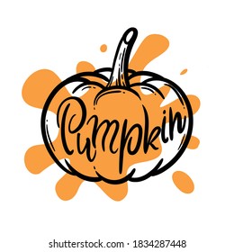 bayas estilizadas. calabaza naranja sobre fondo blanco