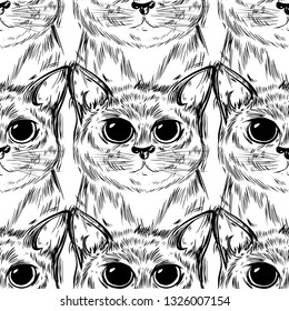 Stylized big cat with beautiful cute eyes. Kawaii. Template for cards and any printing products, printing on clothing. Vector illustration.