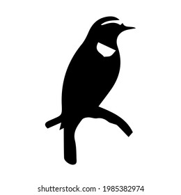 stilisierter Vogel. Kann als Akzent für Ihr Logo verwendet werden. Vektorgrafik