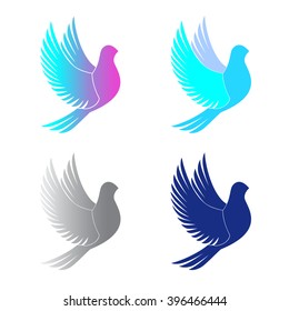 Stylized Bird at Different Color Variations. Vector Illustration for Design.