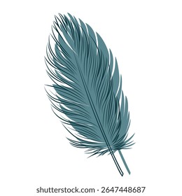 Stylized bird feather on a white background. Vector.