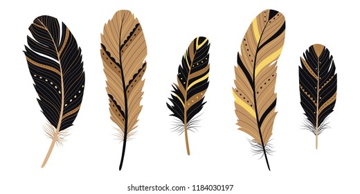 Stylized bird feathers isolated on white background. Ethnic decorative elements.