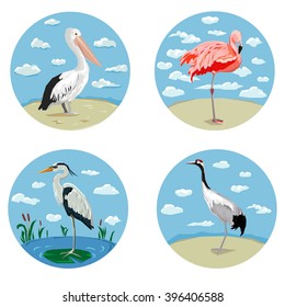 Stylized bird, Graphic illustration bird vector art, set birds, icon, logo, crane, stork, pelican, flamingo.