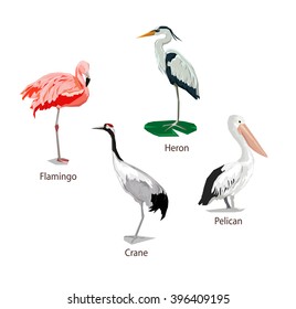 Stylized bird, Graphic illustration bird vector art, crane, flamingo, pelican, heron, birds set. vector.