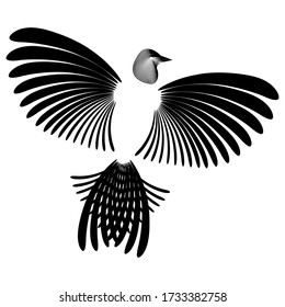 Pájaro estilizado. Cabeza, alas, cola. Blanco y negro. Para el logotipo, elemento de diseño. Aislado en blanco.