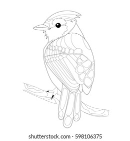 Stylized bird, isolated on white background. Freehand sketch for adult anti stress coloring book page with doodle and zentangle elements.