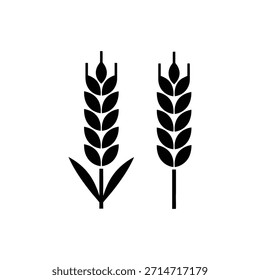 Ícone preto estilizado representando dois grãos de cereais caules de trigo. Usado para os conceitos de colheita, agricultura, comida e pão.