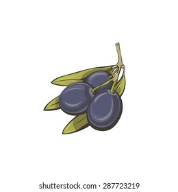 Stylized black olives symbol, isolated vector illustration on white background.