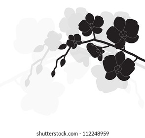 stylized black orchid on a white background