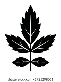 A stylized black silhouette of a compound leaf with serrated edges and prominent veins, set against a white background. The leaf has a central stem with three pairs of leaflets, the top pair being the largest and the bottom pair the smallest.