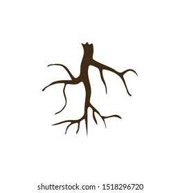 Stylized black silhouette of fibrous root system