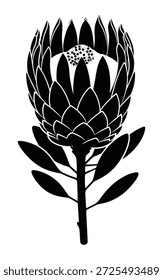Silhueta preta estilizada de uma flor do Rei Protea com pétalas detalhadas e um estame central isolado em um fundo branco limpo