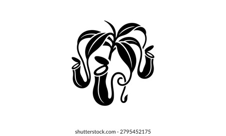 Stylized black silhouette of a pitcher plant, an insectivorous plant, isolated on a white background. Clean vector illustration.