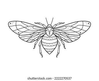 Abeja blanca y negra estilizada. Ilustración vectorial con dibujos a mano. Diseño natural para tatuajes o makhenda, portada de libros, estampado de camisetas, afiche o tarjeta.