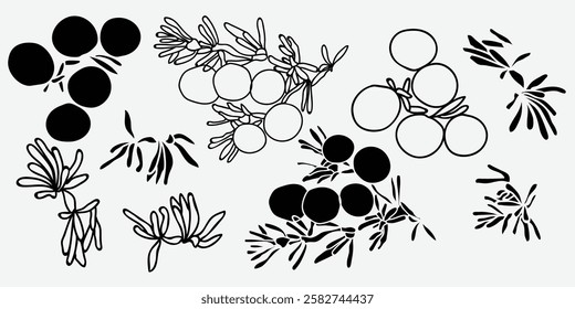 Stylized black and white botanical illustrations that prominently feature circular shapes alongside unique leaves