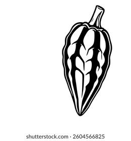 Stylized Black And White Cocoa Pod Illustration