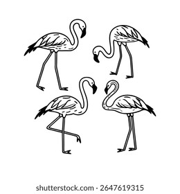 Stylized Black and White Flamingo Illustrations: Set of Four Elegant Tropical Birds in Various Poses - Minimalist Hand-Drawn Design
