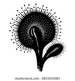 Stylized black and white flower illustration featuring radiating lines and intricate details, emphasizing artistic floral pattern.