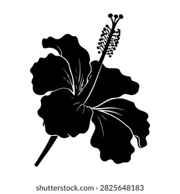 Stylized black and white hibiscus flower illustration suitable for various design projects and artistic purposes.