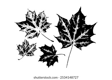 Stylized black and white illustration of maple leaves in various sizes, isolated on a white background. Botanical and nature concept