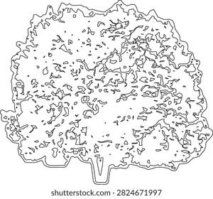 A stylized black and white line of a bushy deciduous tree on a white background.