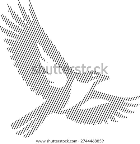 Stylized black and white line of a soaring eagle in flight