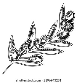 Stylized black and white olive branch, black olives. Olive branch vector sketch. Illustration for label, packaging of olive oil, pickled olives.