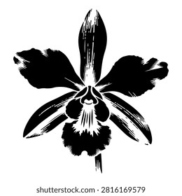 Stylized black and white orchid flower silhouette emphasizing artistic floral design for creative projects.