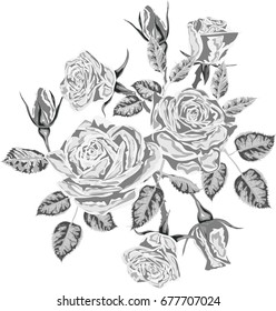Stylized black and white  roses   - vector