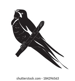 stylized black and white swallow