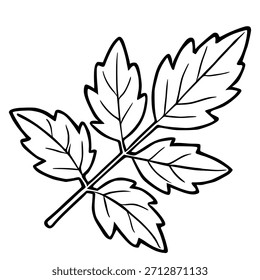 Ilustração de vetor preto e branco estilizado de uma folha composta com bordas serrilhadas e veias proeminentes, isoladas em um fundo branco limpo.