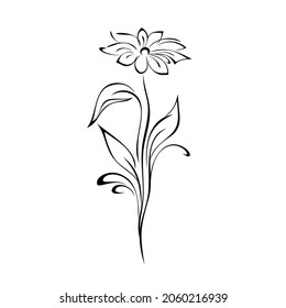 stylized blooming flower on a long stem with leaves and curls. graphic decor