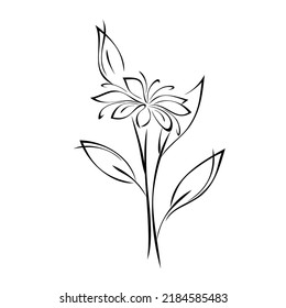 stylized blooming flower on a stem with leaves. graphic decor